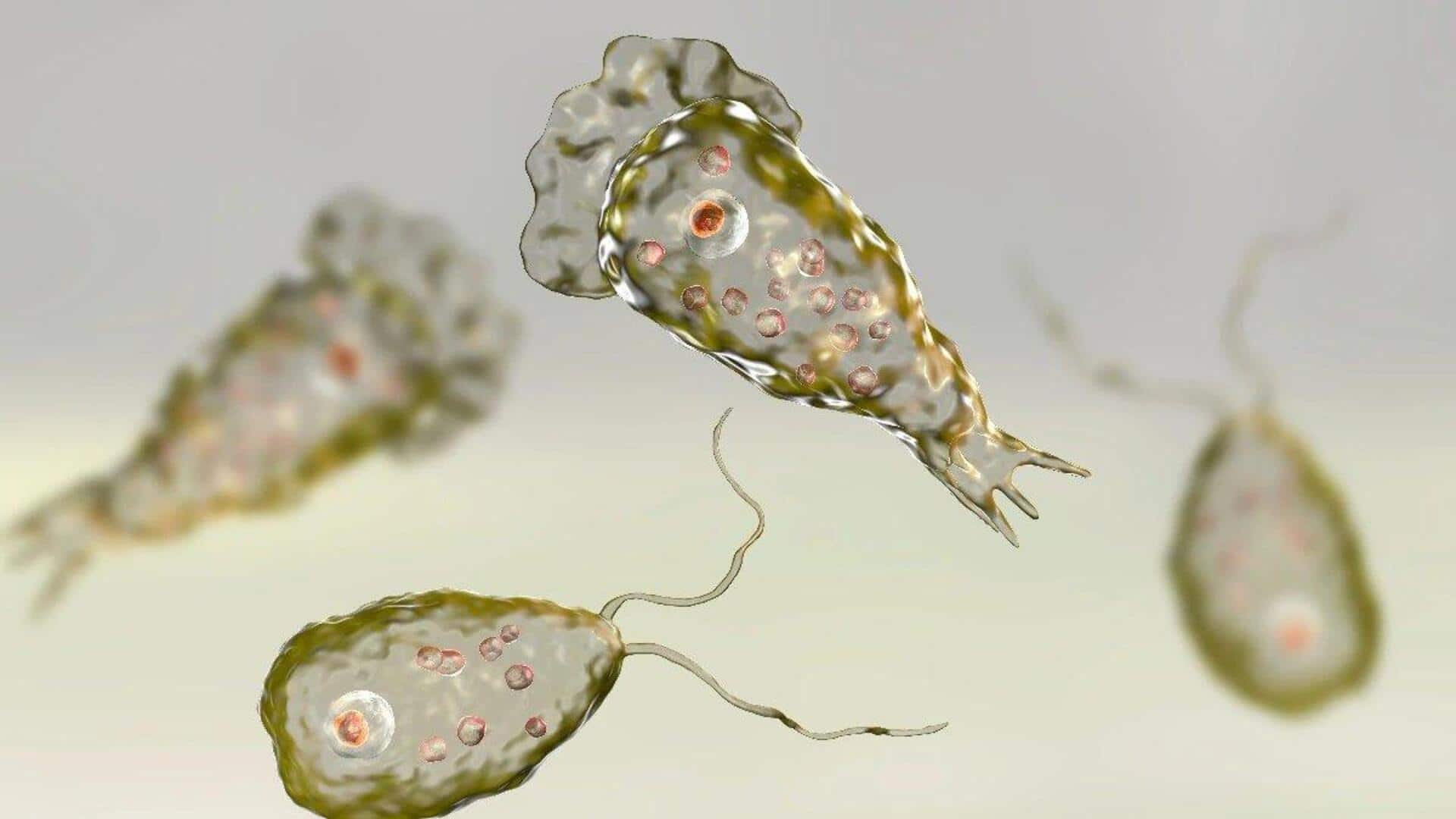 Kerala brain-eating amoeba scare: why stagnant freshwater poses deadly risk 