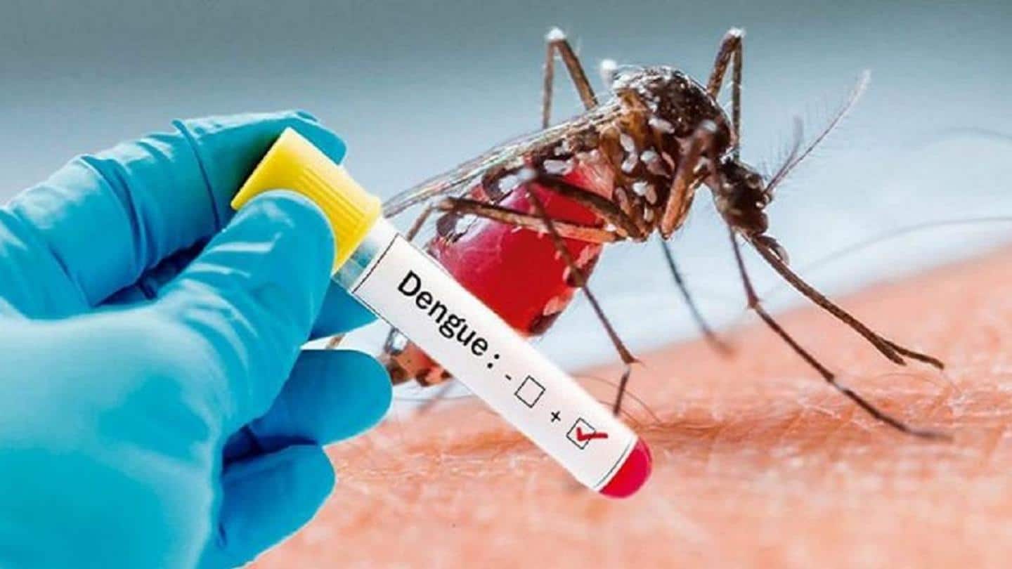 Delhi records 52 dengue cases so far this year