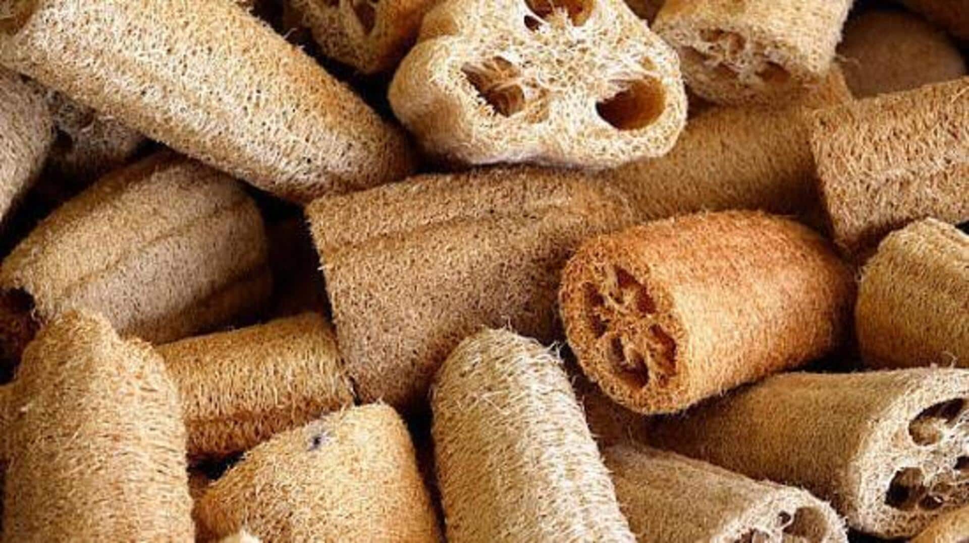 Loofah seeds: The superfood you haven't tried yet 