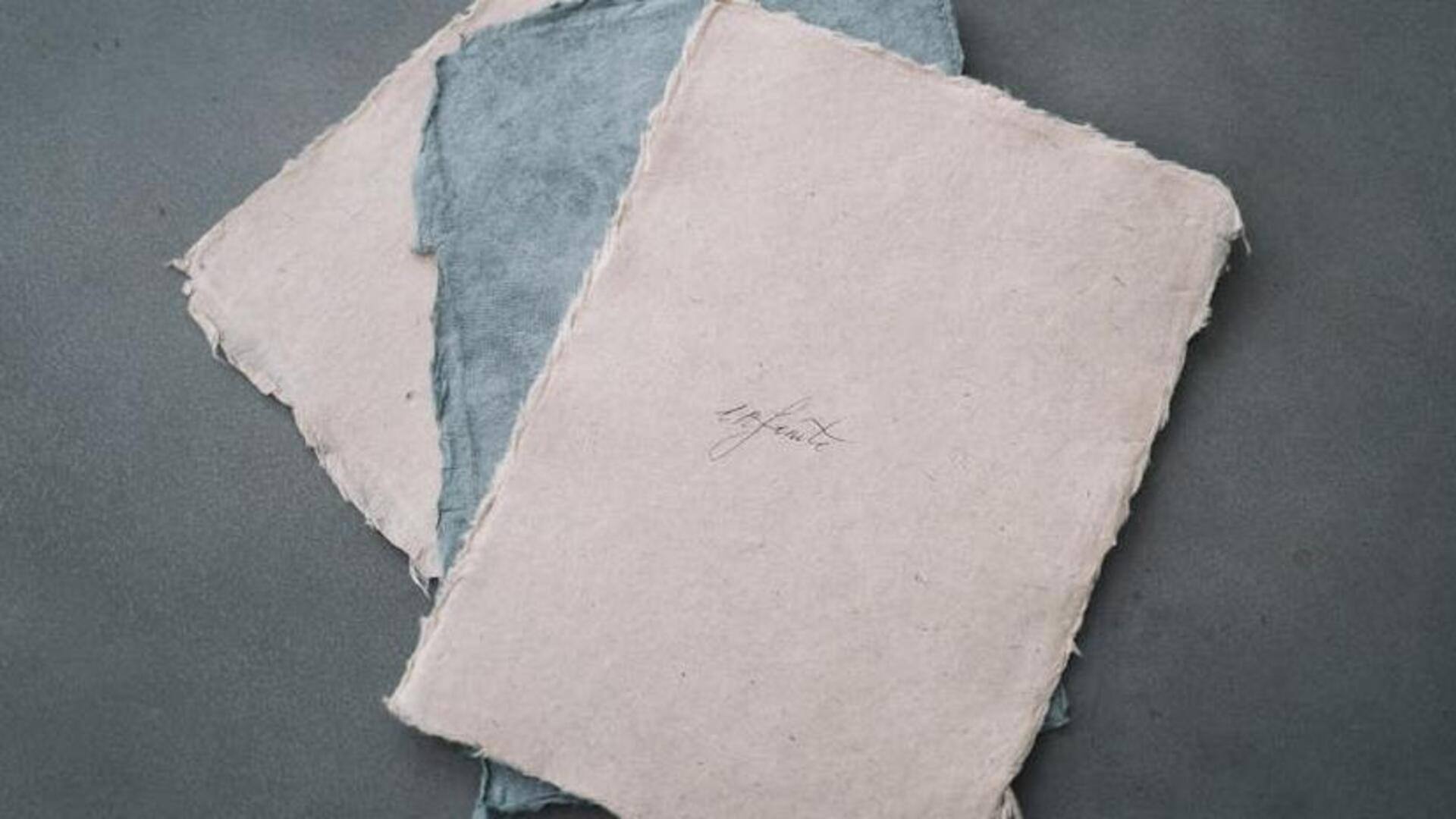 Pioneers of papermaking: Crafting the future on an eco-friendly note