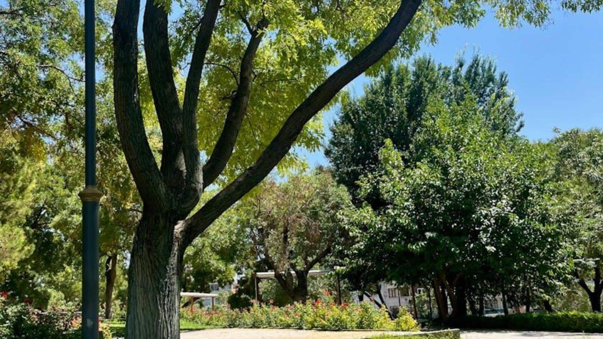 Public park etiquette: Simple rules you must know