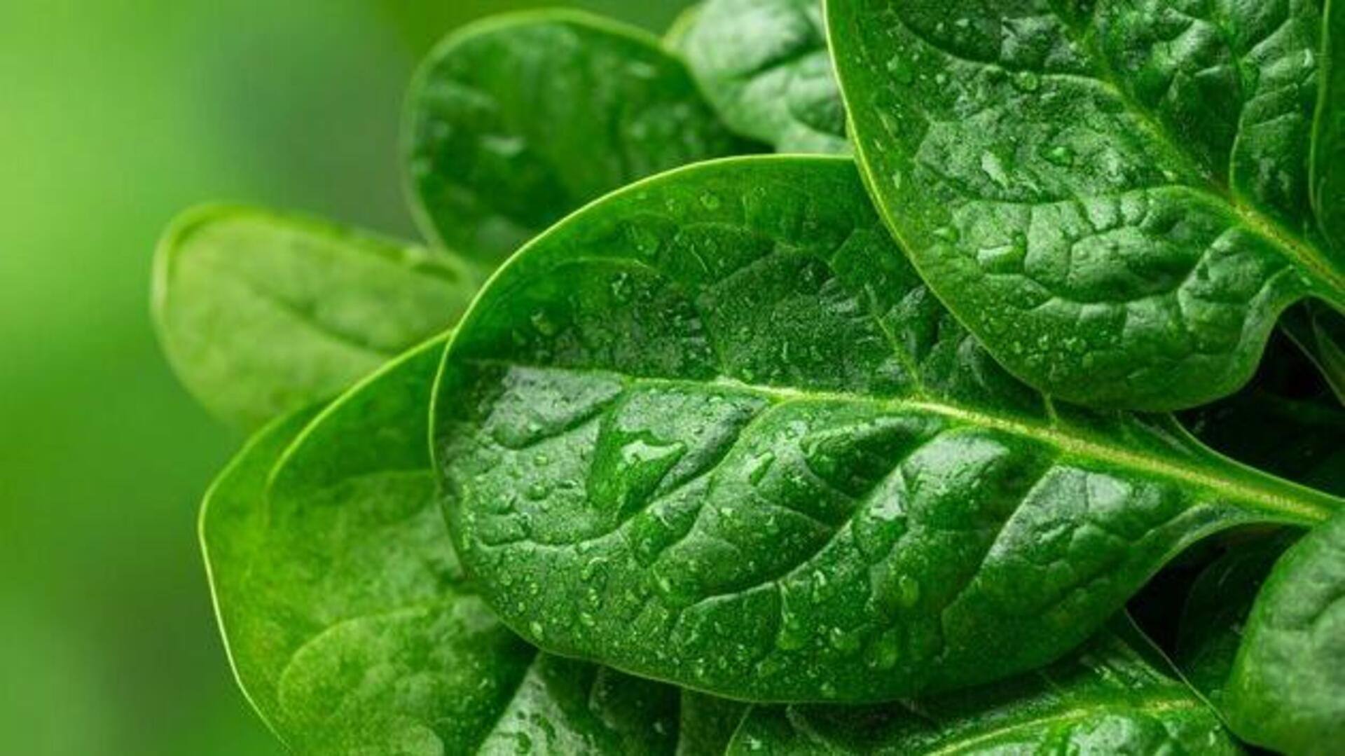 Is spinach really a superfood? 