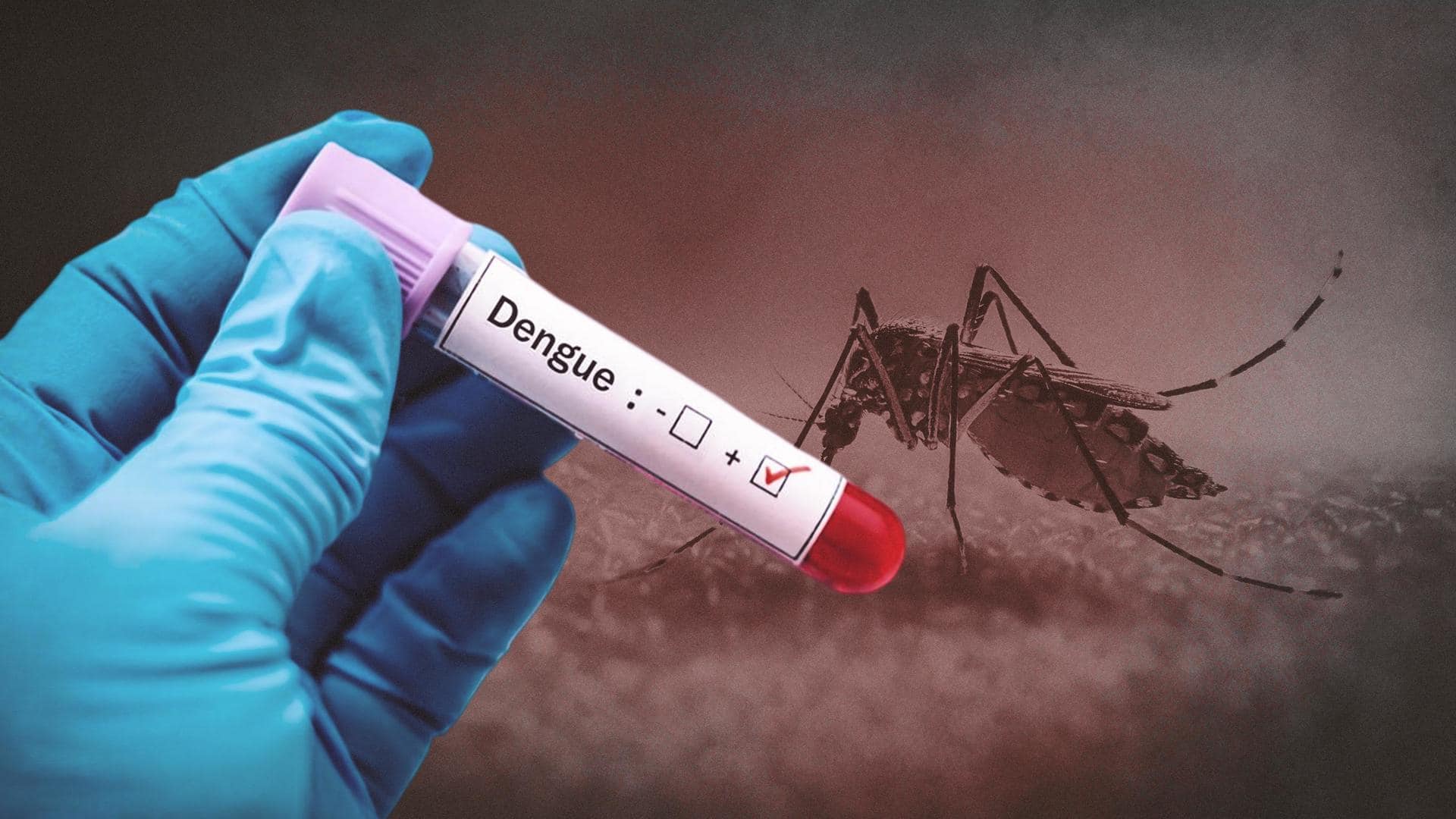 India sees 600 dengue cases daily; sharp surge in Delhi