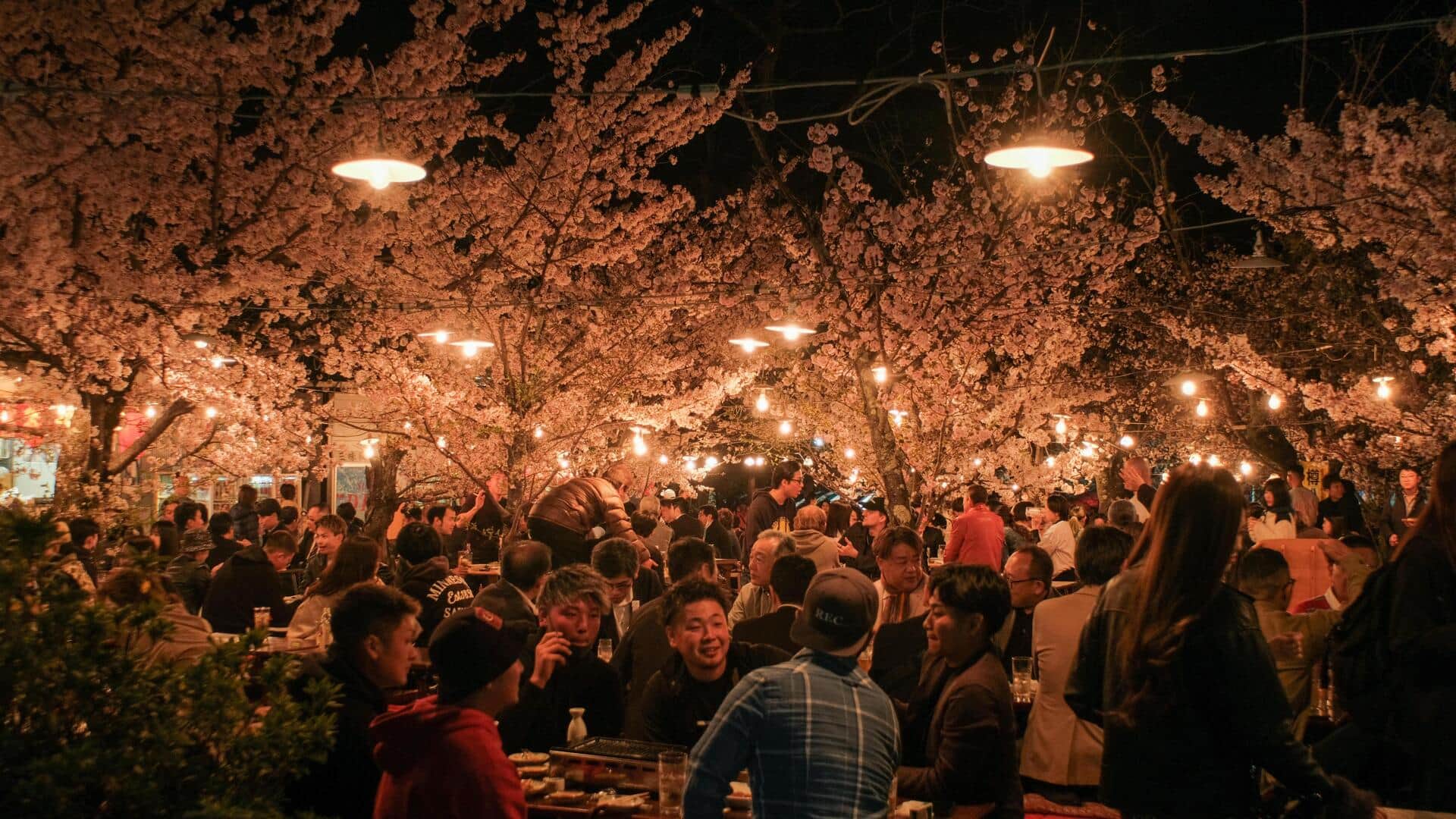 Hanami: The cherry blossom festival you should know about