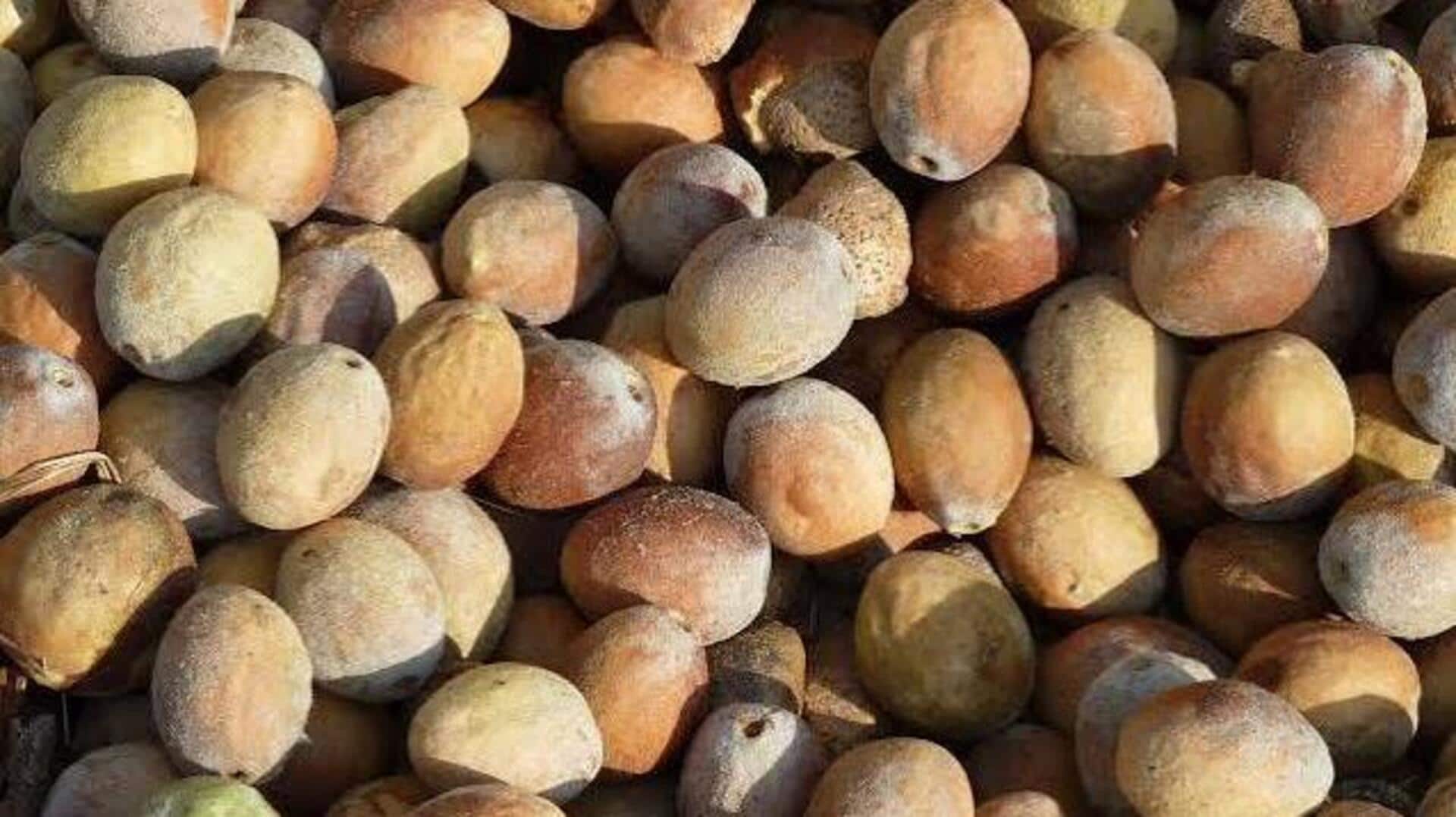 Manketti nuts: A powerful source of antioxidants 