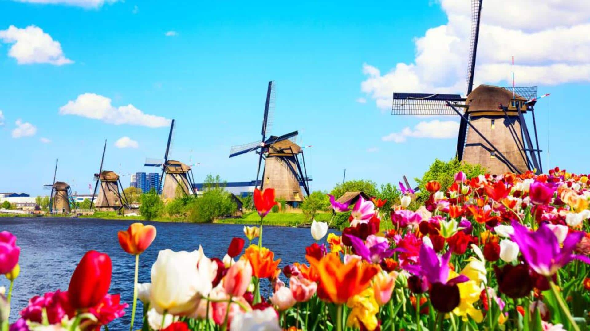 Journey through Kinderdijk, Netherlands: Windmills and tulips await