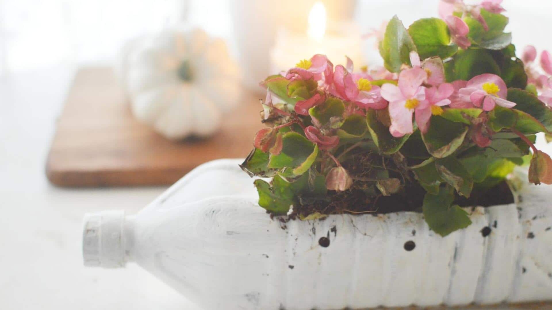 5 ways to reuse trash in home decor 5 ways to reuse trash in home decor