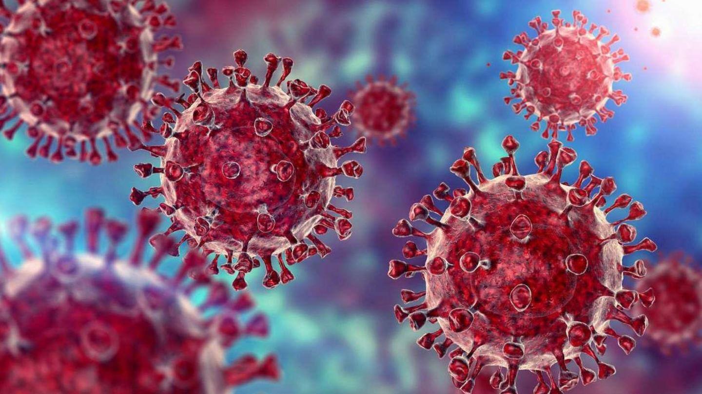 What is the B.1.617 lineage of the coronavirus? What is the B.1.617 lineage of the coronavirus?