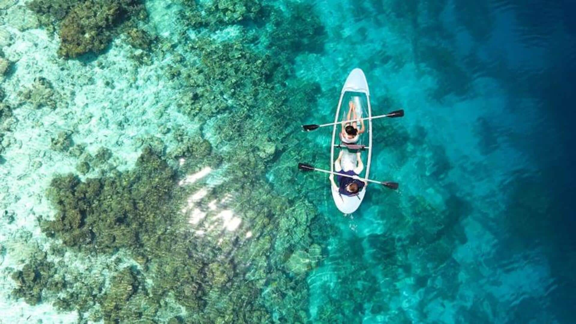 Unveiling the Great Barrier Reef's marine majesty