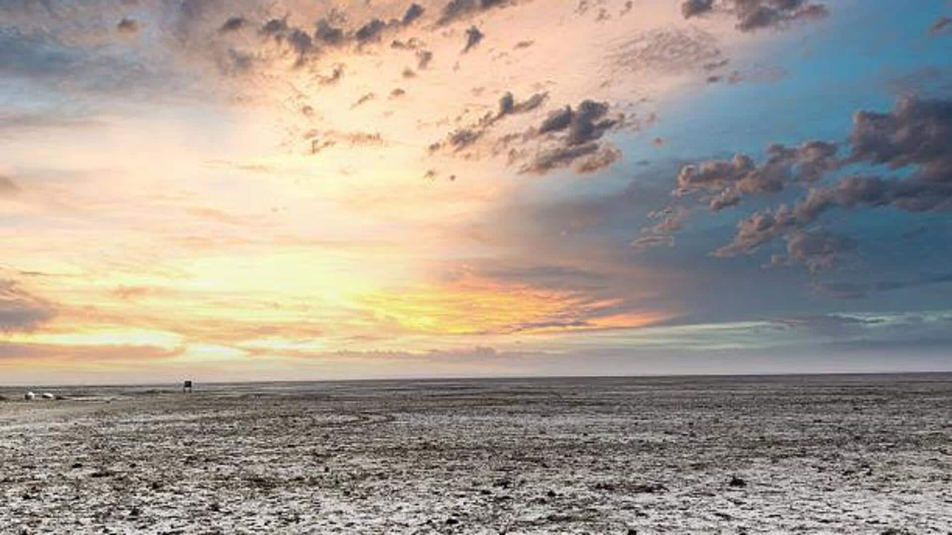 Unique salt landscapes to visit in India Unique salt landscapes to visit in India