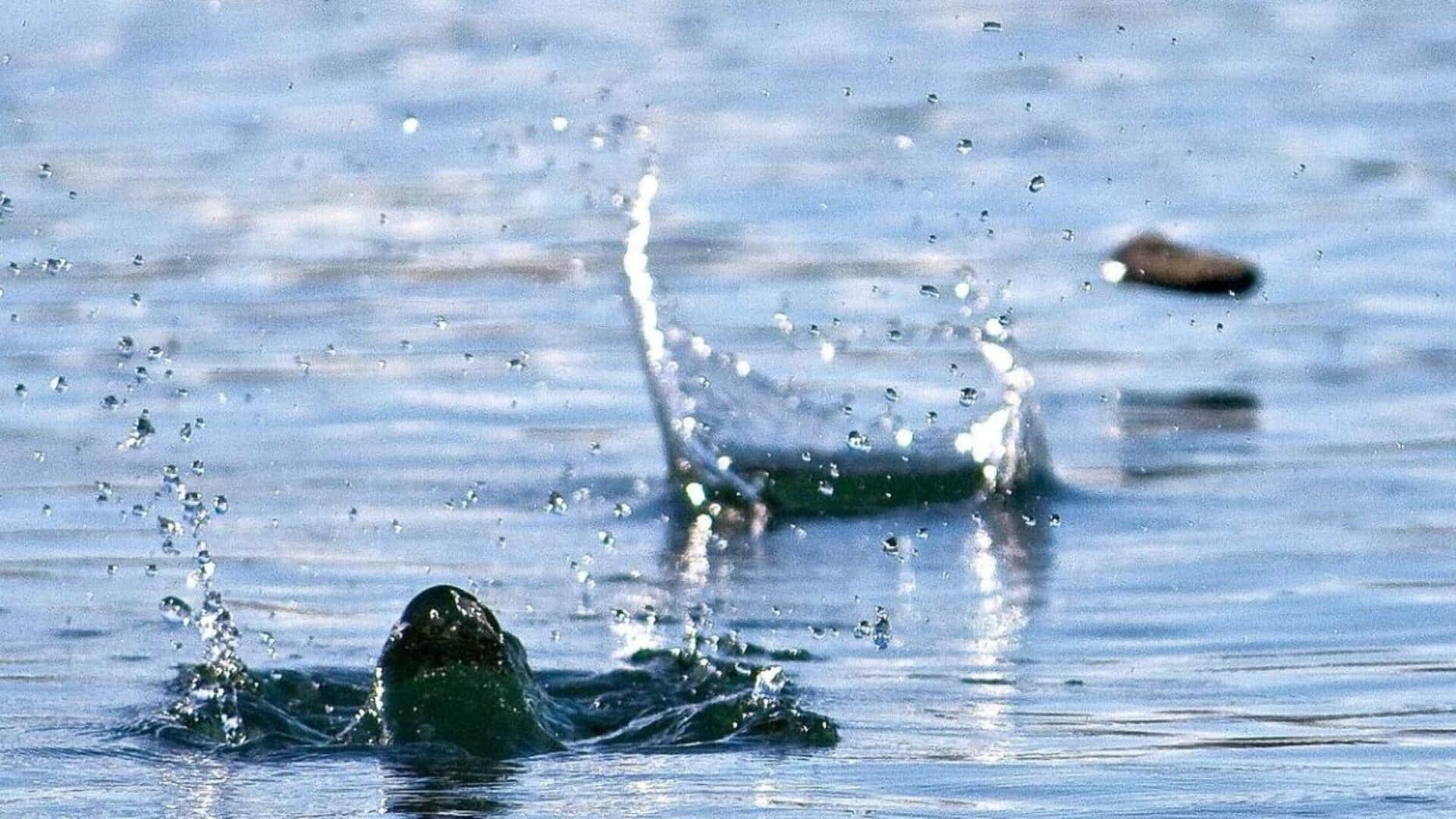 Cricket bowling v/s stone skipping: Which improves wrist flexibility?