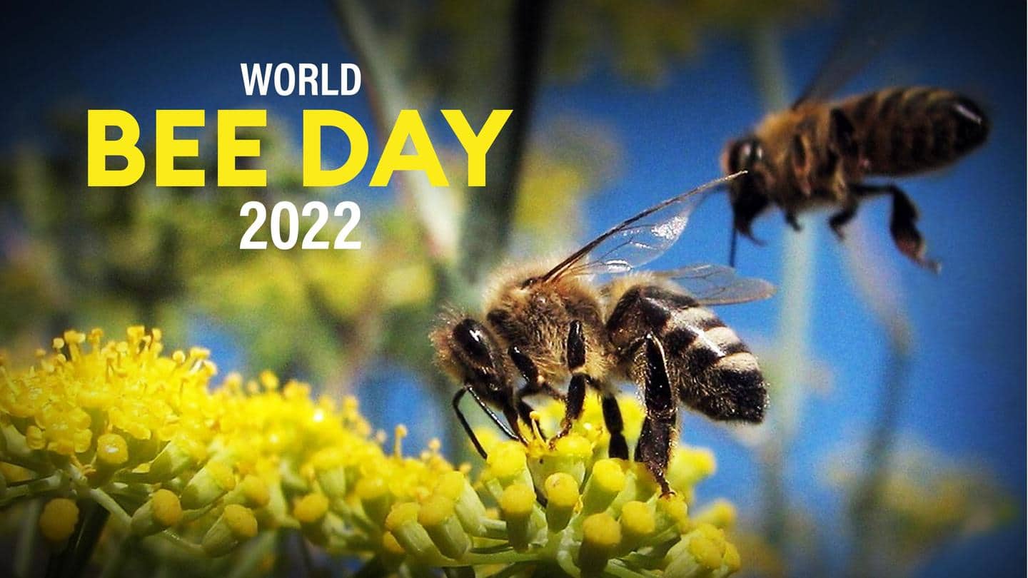 World Bee Day 2022 History, significance and more