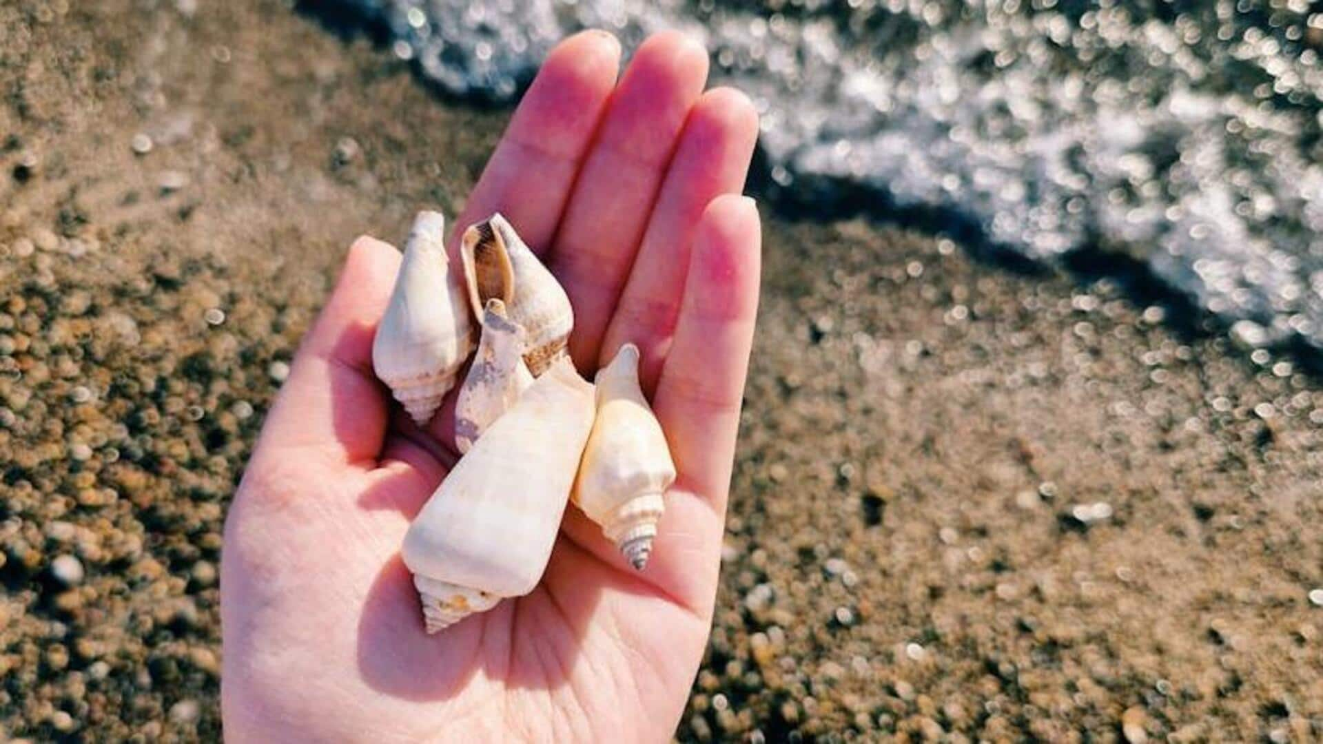 Seashell accessories: Summer's coastal charm