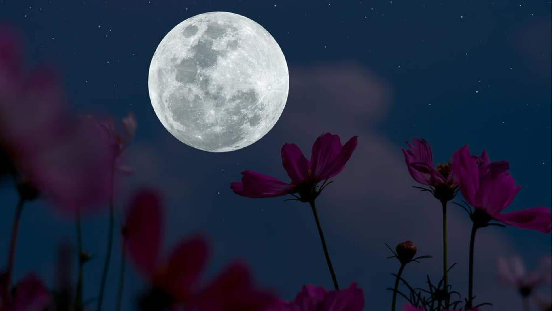 Flower Moon to illuminate night sky today: Know its significance Flower Moon to illuminate night sky today: Know its significance