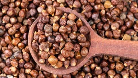 What is alligator pepper?