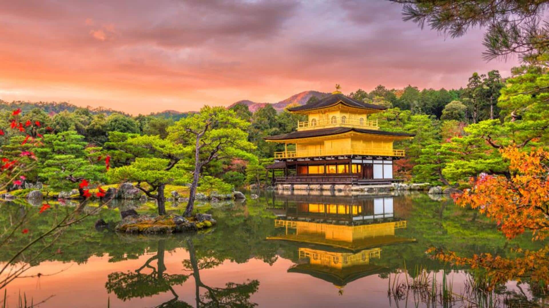 Explore Kyoto's timeless cultural journey with this things-to-do guide