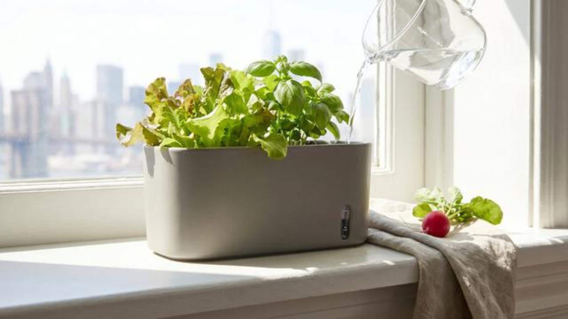 What are self-watering planters?