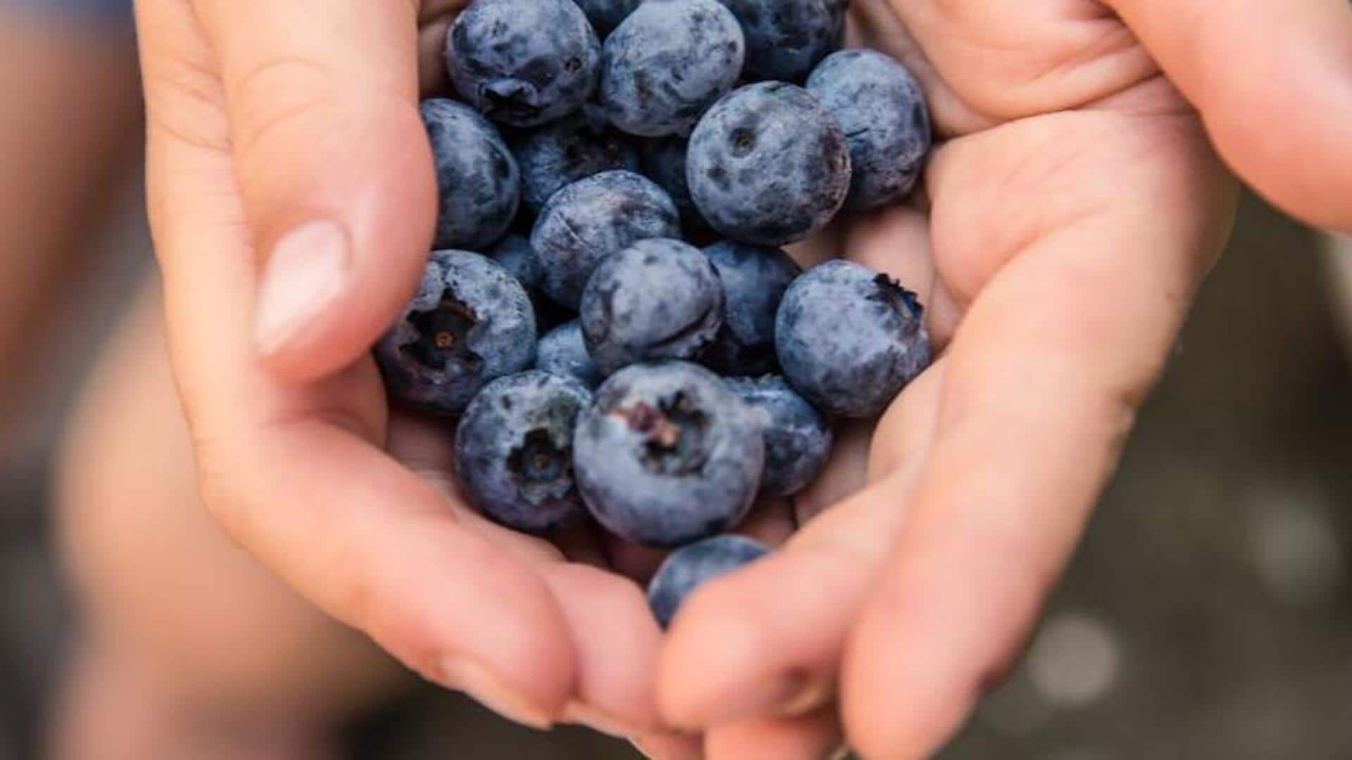 Blueberries v/s raspberries: Which is rich in antioxidants? Blueberries v/s raspberries: Which is rich in antioxidants?