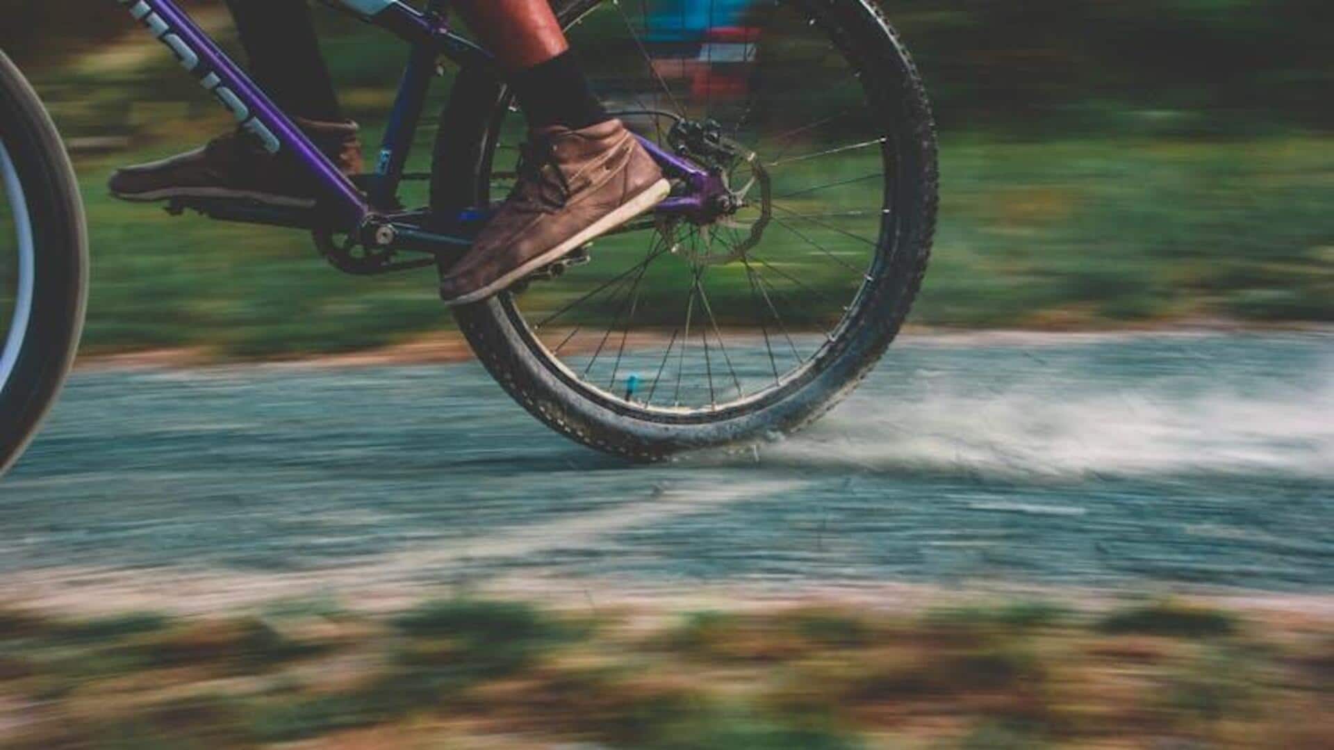 Cycling adventure in Karnataka's lush landscapes