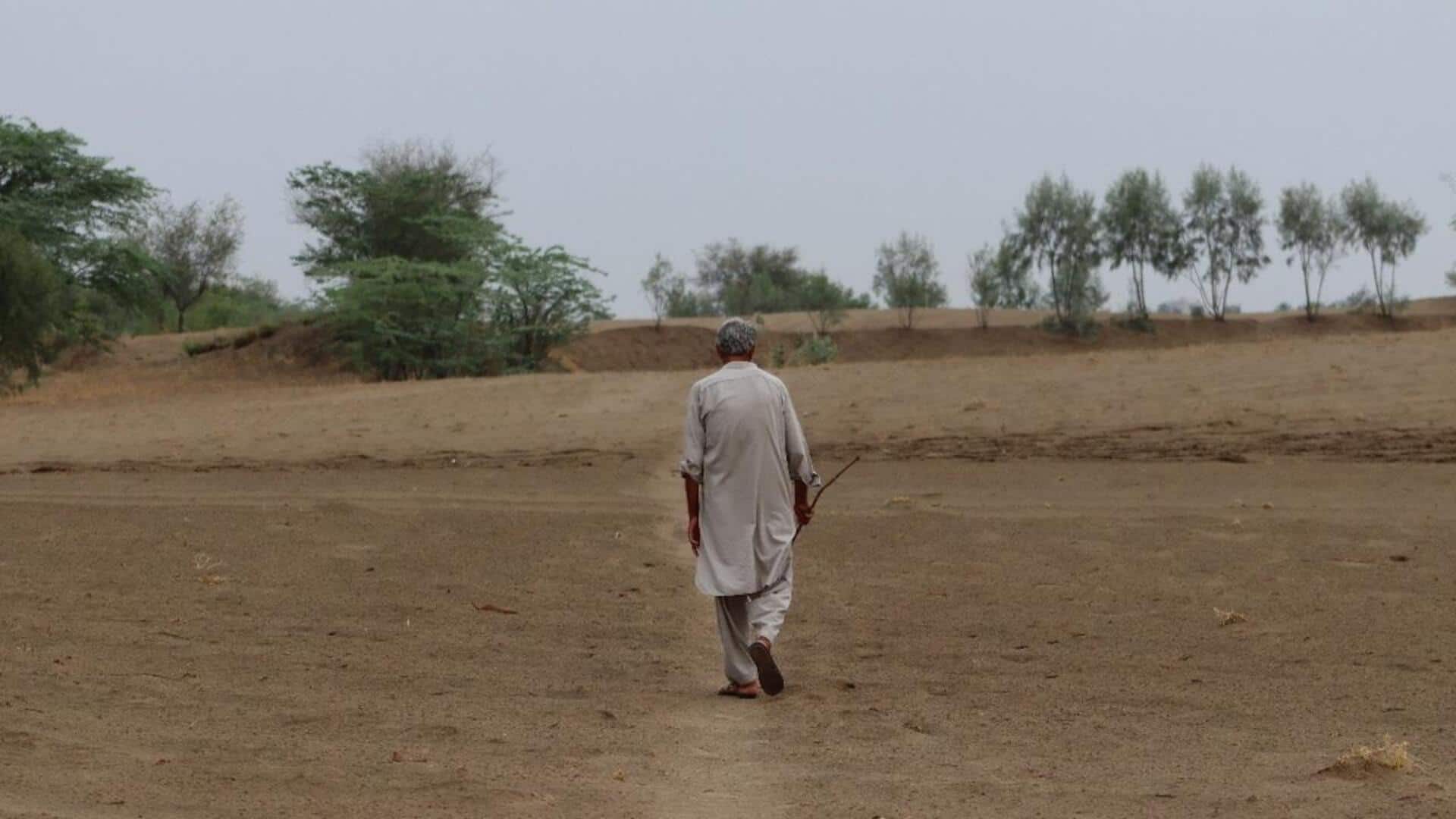 Water crisis in Maharashtra: 265 of 358 talukas declared drought-affected