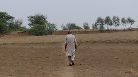 Water crisis in Maharashtra: 265 of 358 talukas declared drought-affected