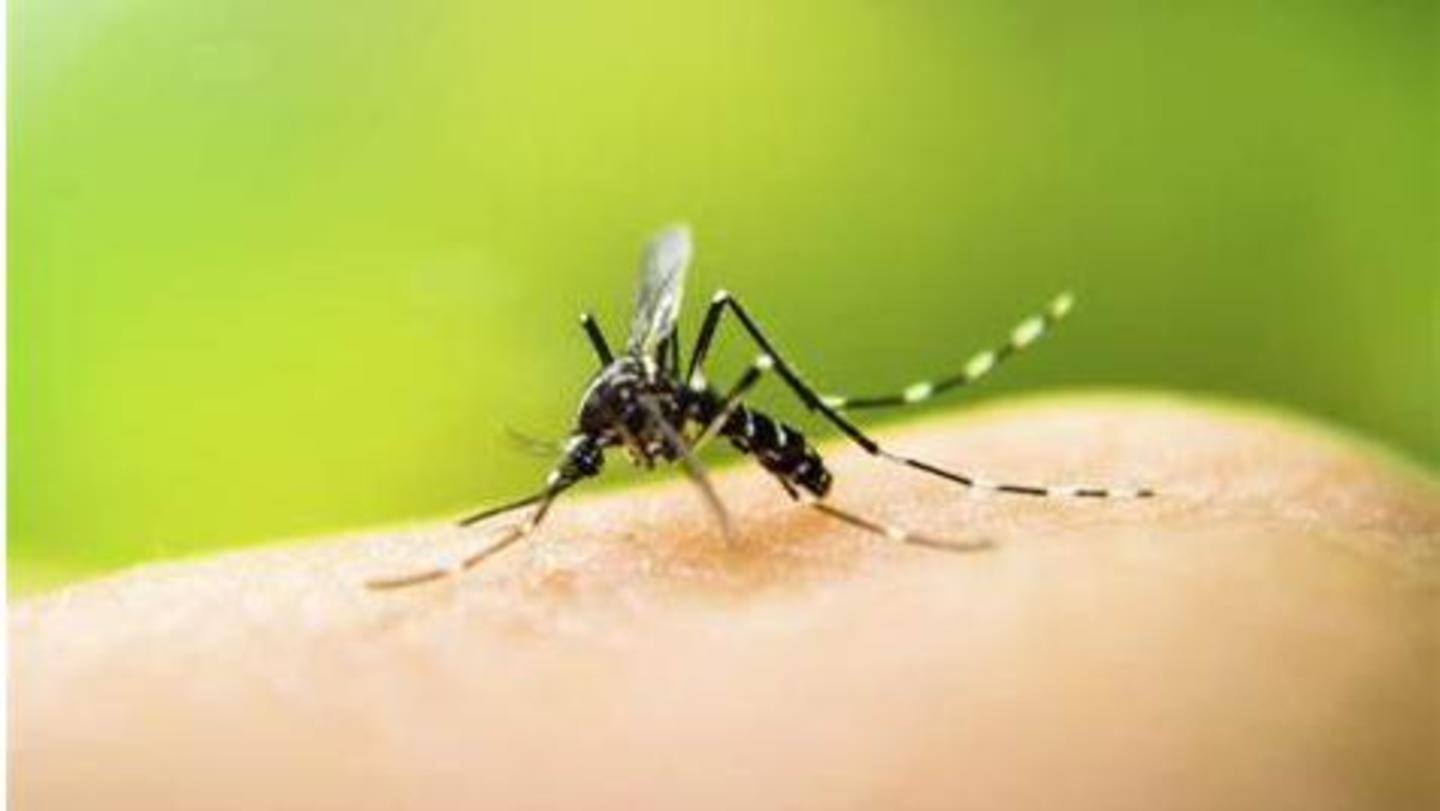 Five more people test positive for Zika virus in Kerala