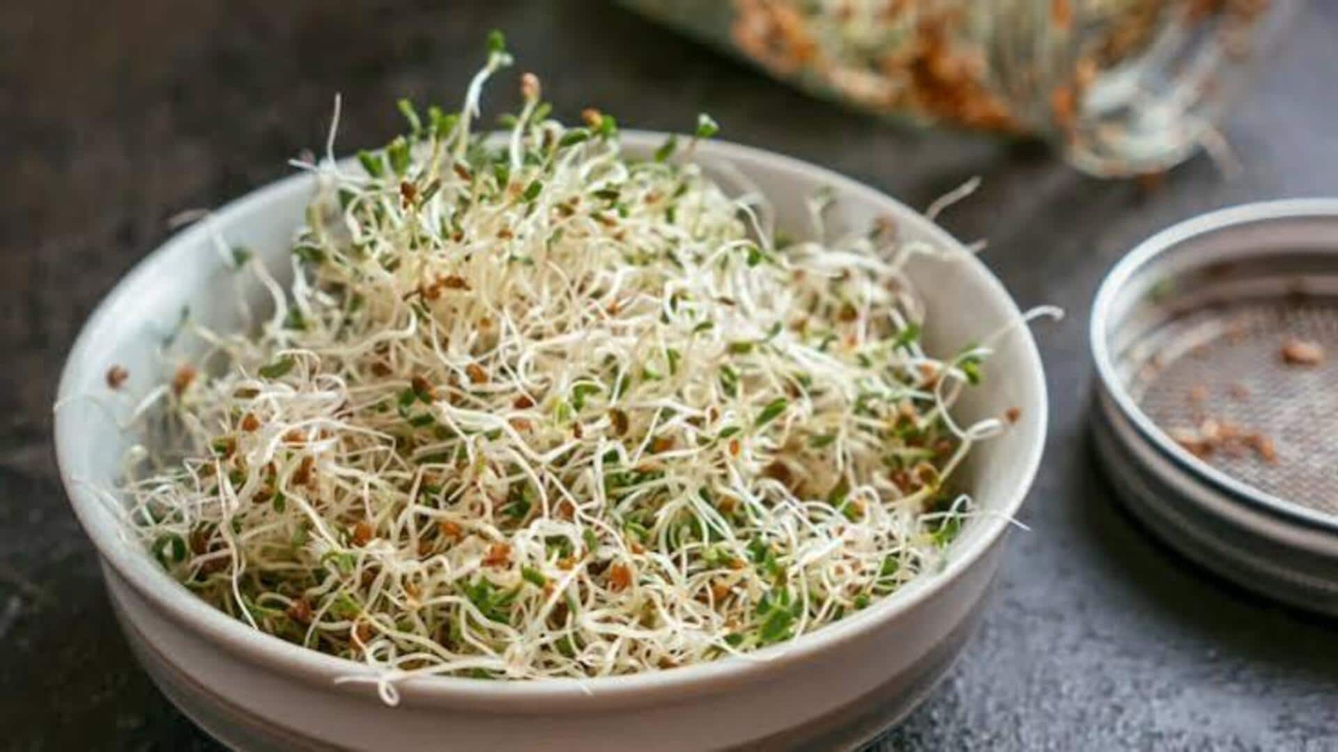 Alfalfa: 5 dishes using this nutrient-rich legume 