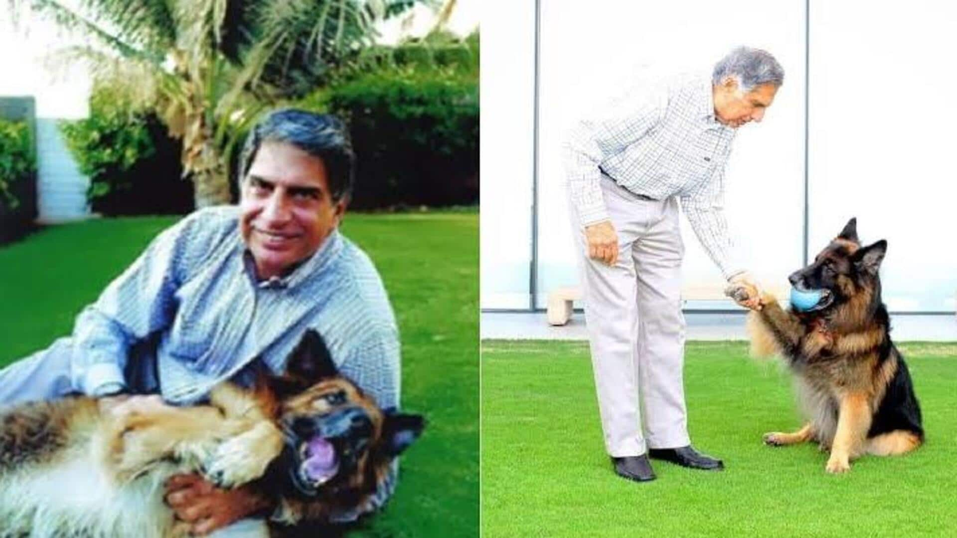 Tata once chose his ill dog over 'lifetime achievement award' 