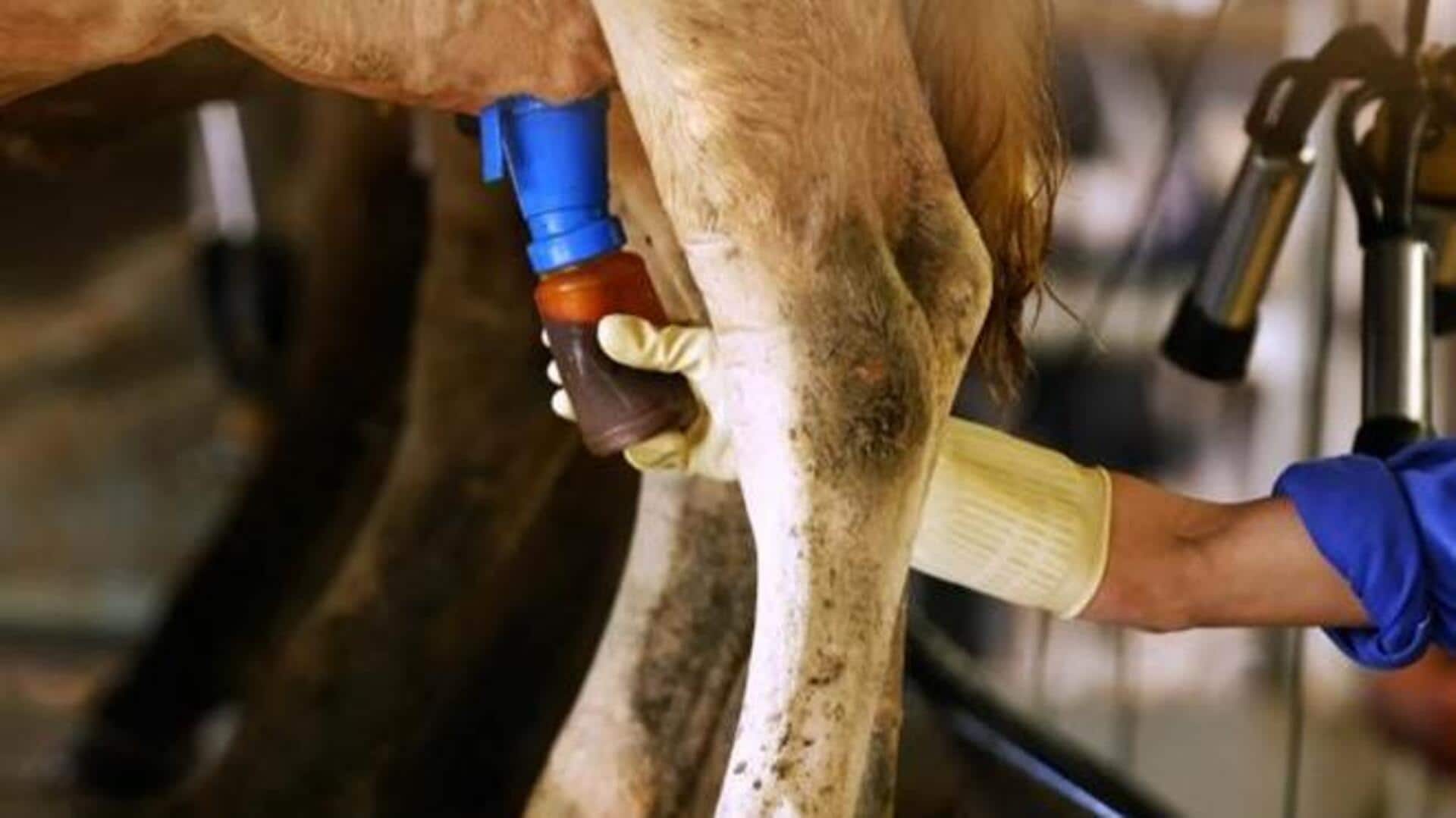 Zoho founder defends IIT director after Congress's 'gomutra' dig