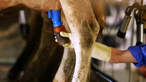 Zoho founder defends IIT director after Congress's 'gomutra' dig