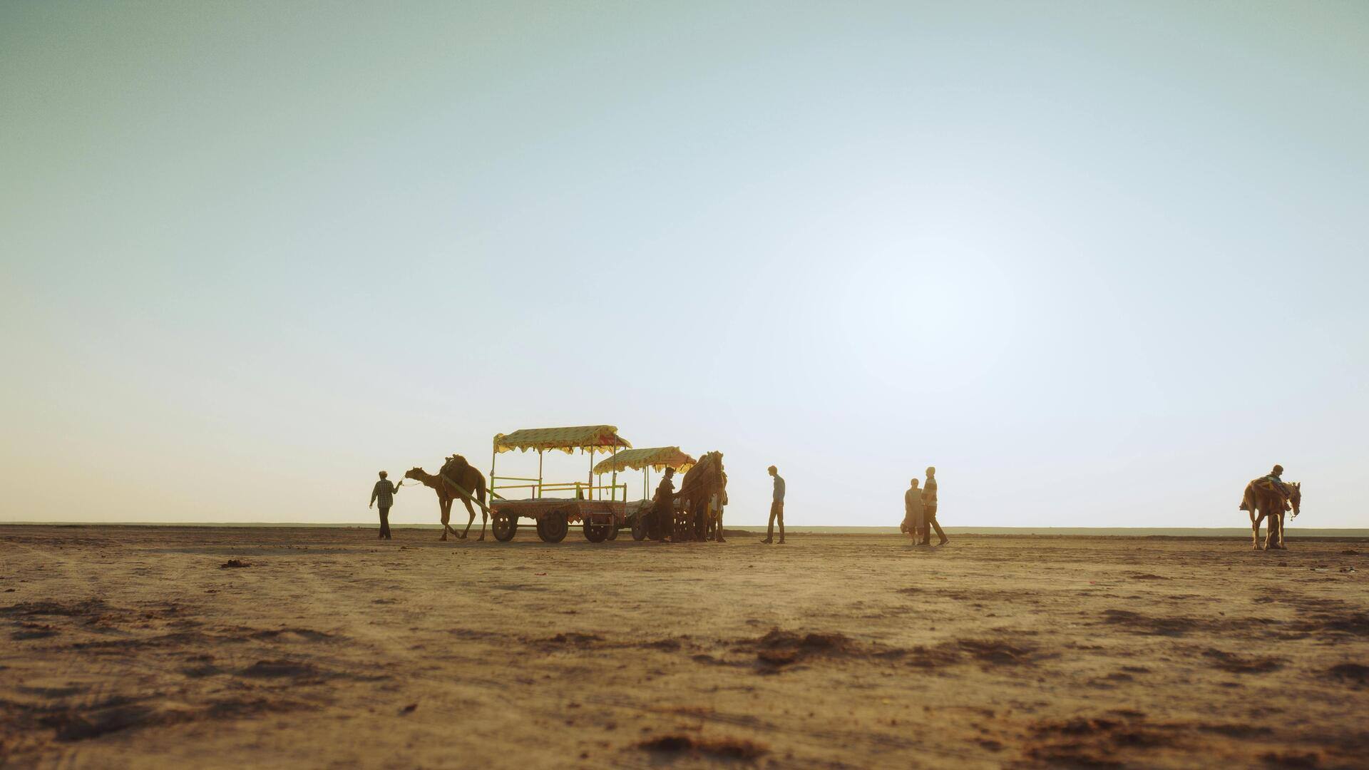 Discover the beauty of Gujarat's white salt deserts