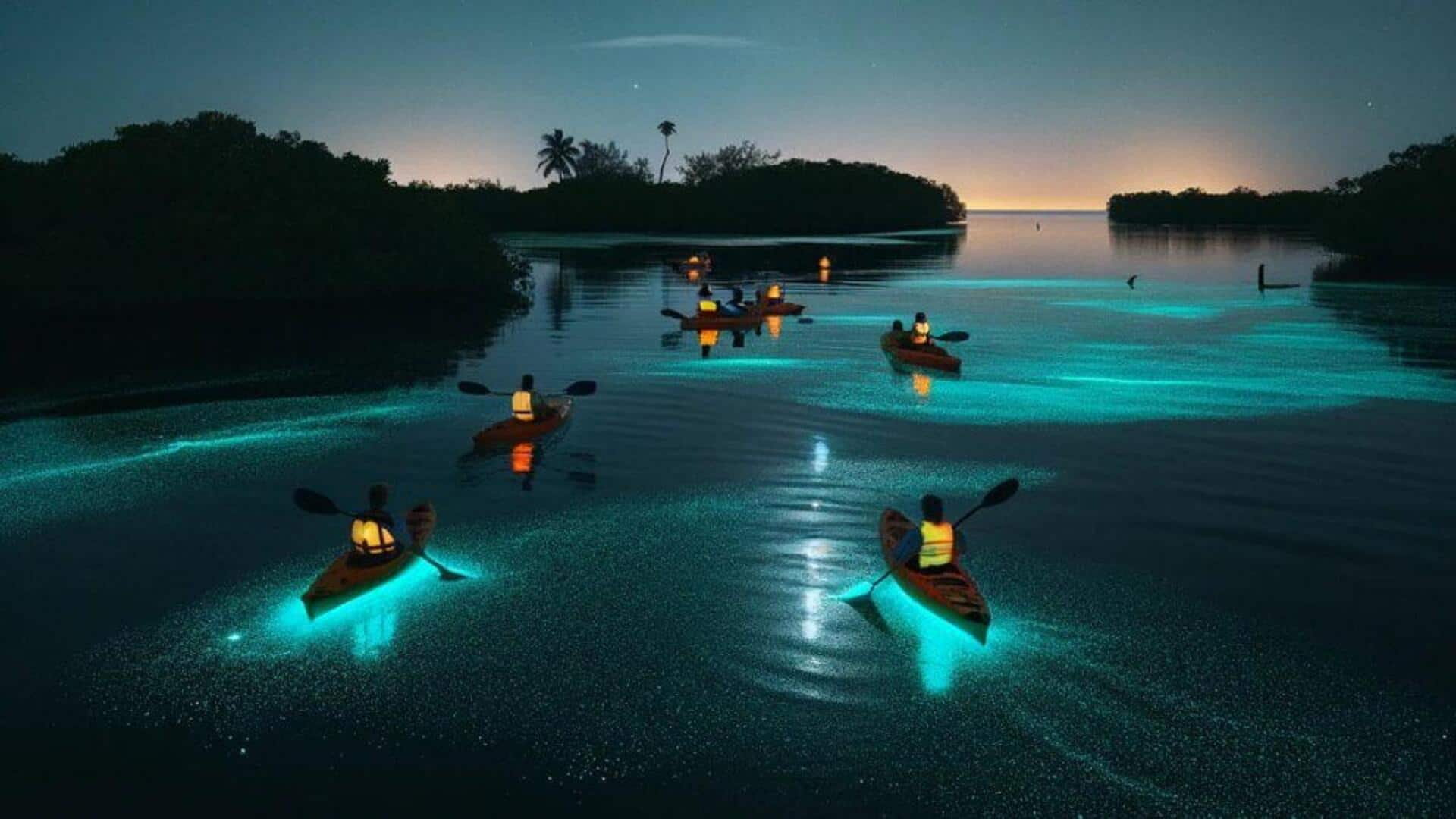 A guide to kayaking through glowing mangroves