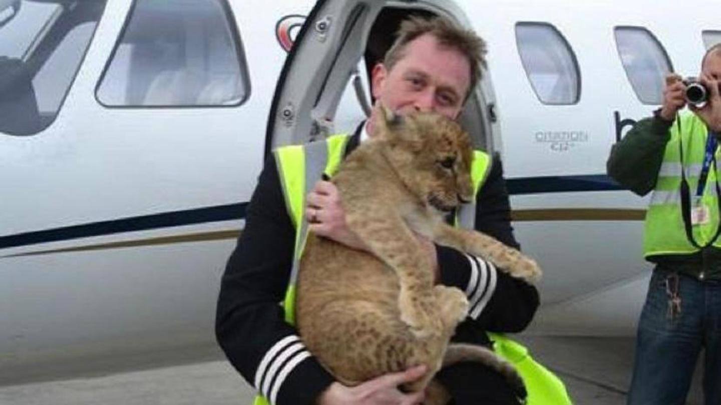 Ex DVLA CEO Oliver Morley once saved three lions