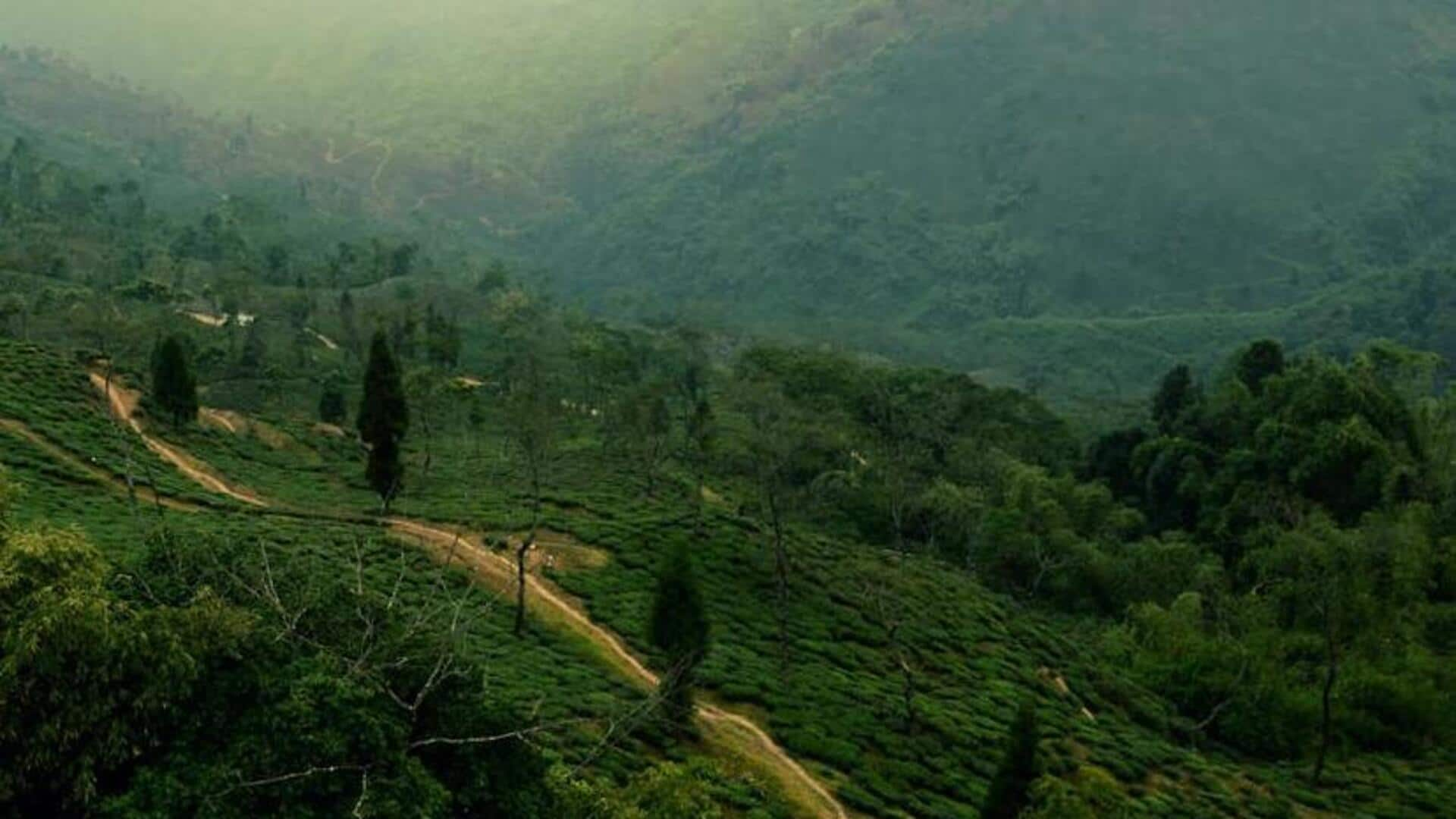 Journey through Darjeeling, India: Tea gardens and colonial echoes