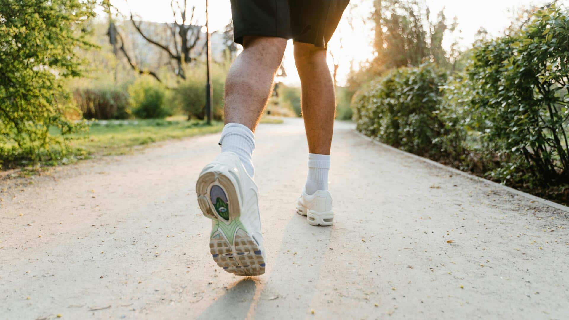 The best exercises to train your tibialis anterior