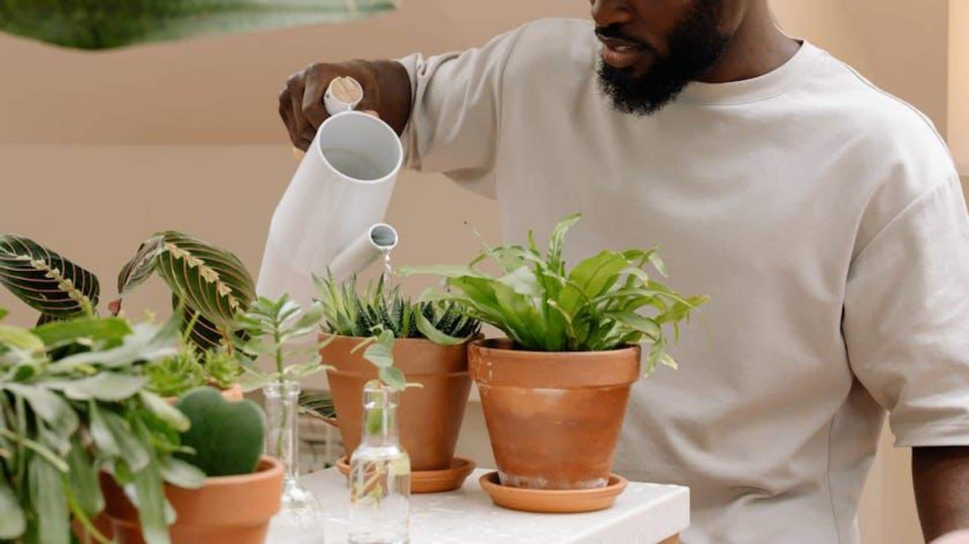 Why clay pots are perfect for eco-conscious homes Why clay pots are perfect for eco-conscious homes