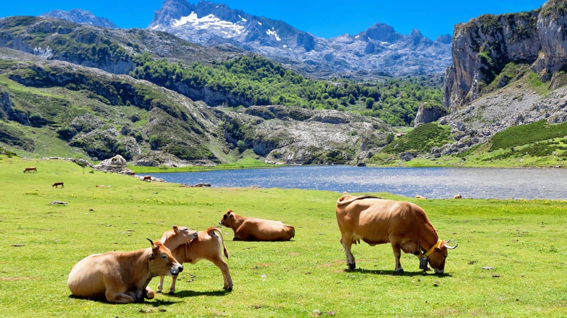 If you want a challenging hike, consider Spain
