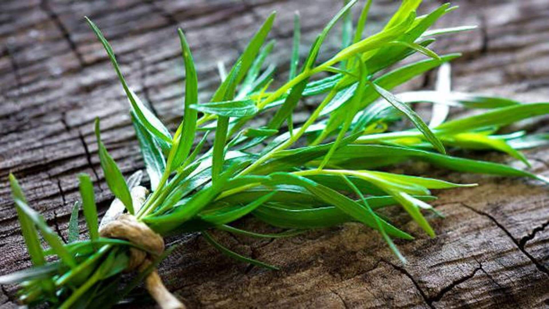 Ever heard of tarragon? Try it in your vegan dishes! 