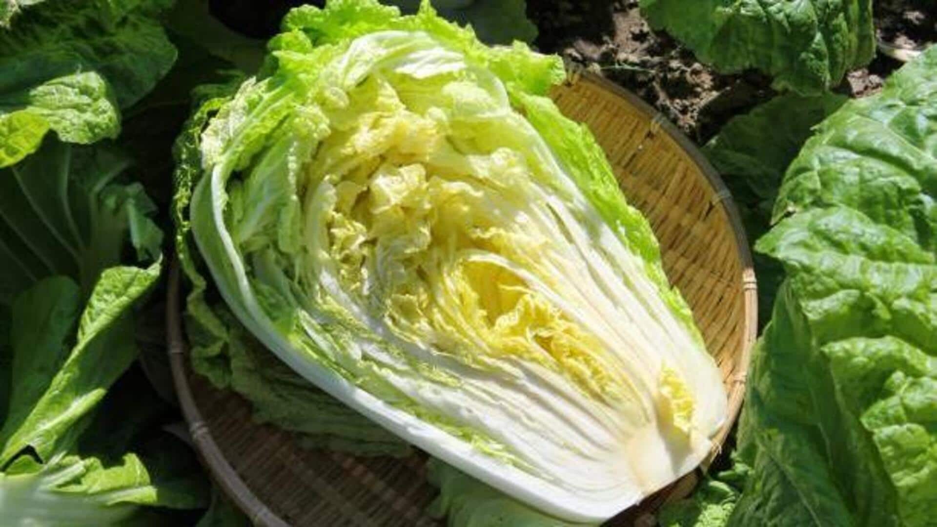 Napa cabbage: 5 recipes you'll love Napa cabbage: 5 recipes you'll love