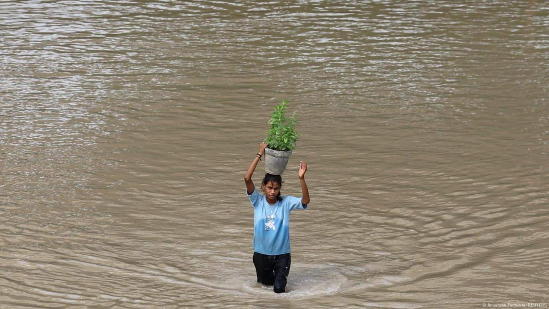 Punjab floods, J&K landslides, Himachal cloudbursts: What's behind these catastrophes Punjab floods, J&K landslides, Himachal cloudbursts: What's behind these catastrophes