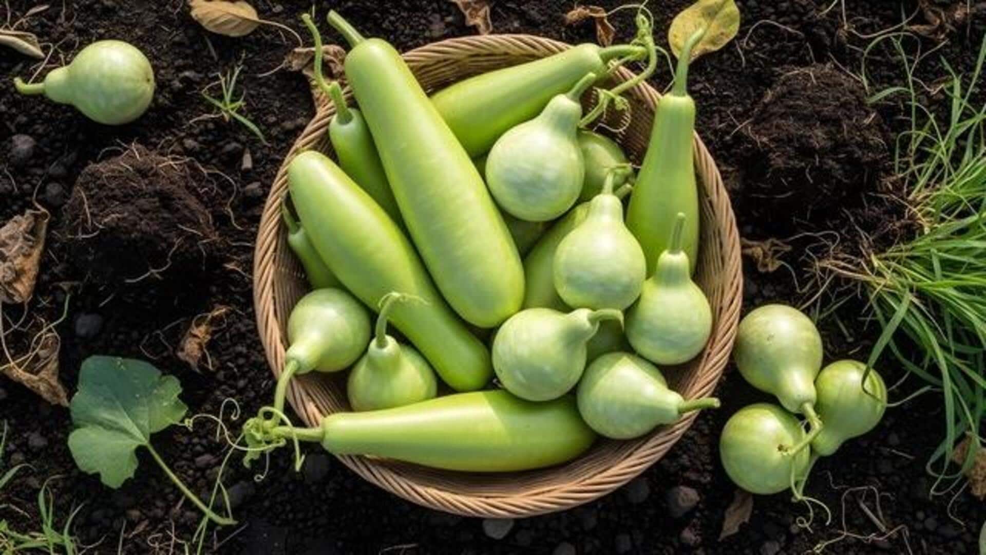 Try these recipes using bottle gourd peels