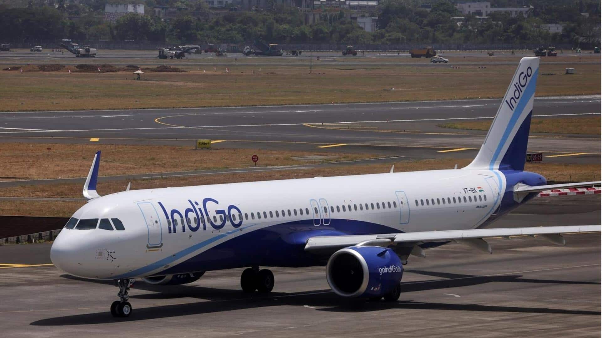 IndiGo to court business flyers with premium seats, hot food