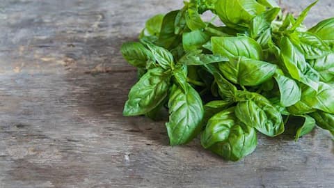 How basil can elevate simple recipes