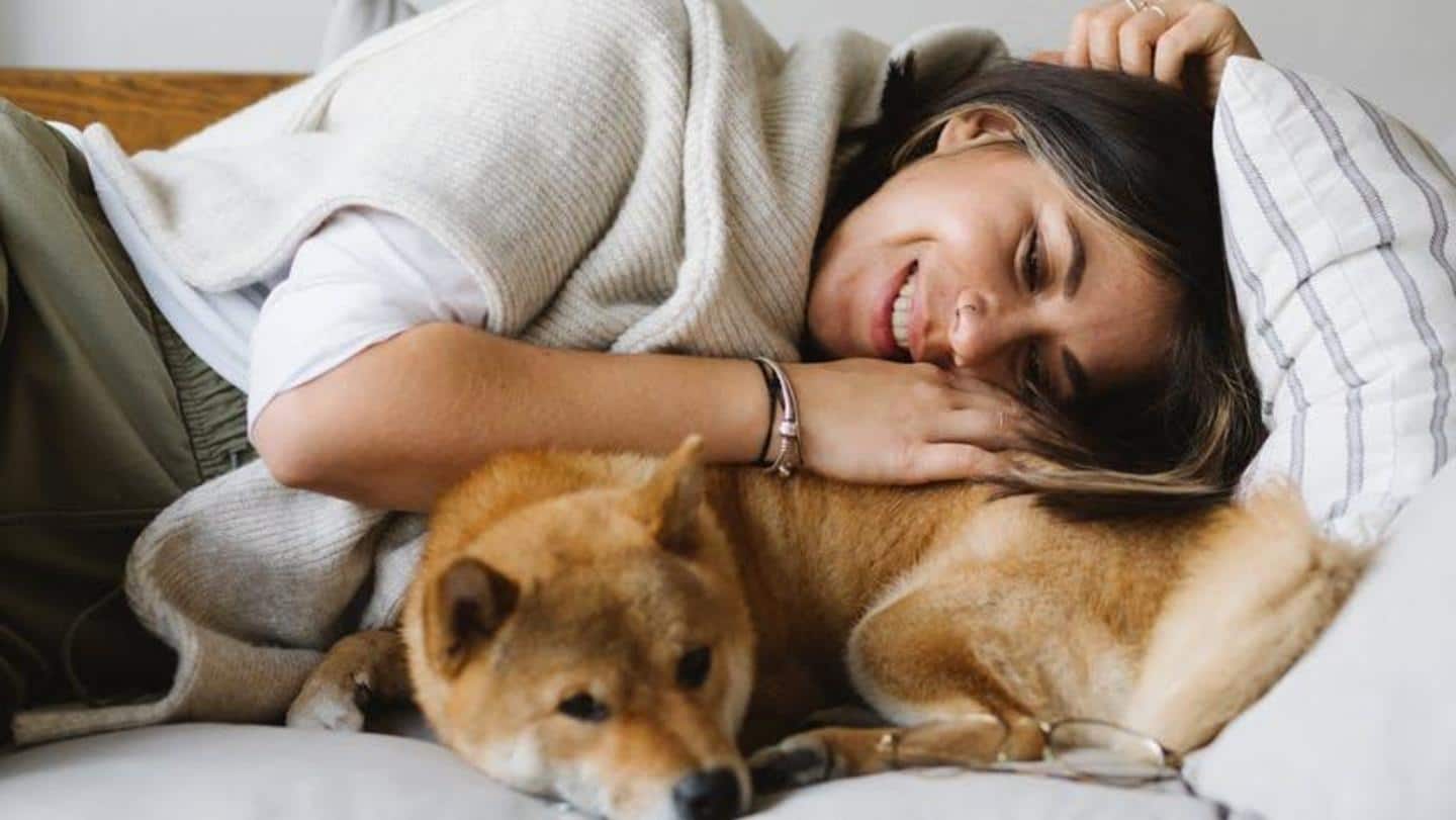 5 ways to pamper your pets