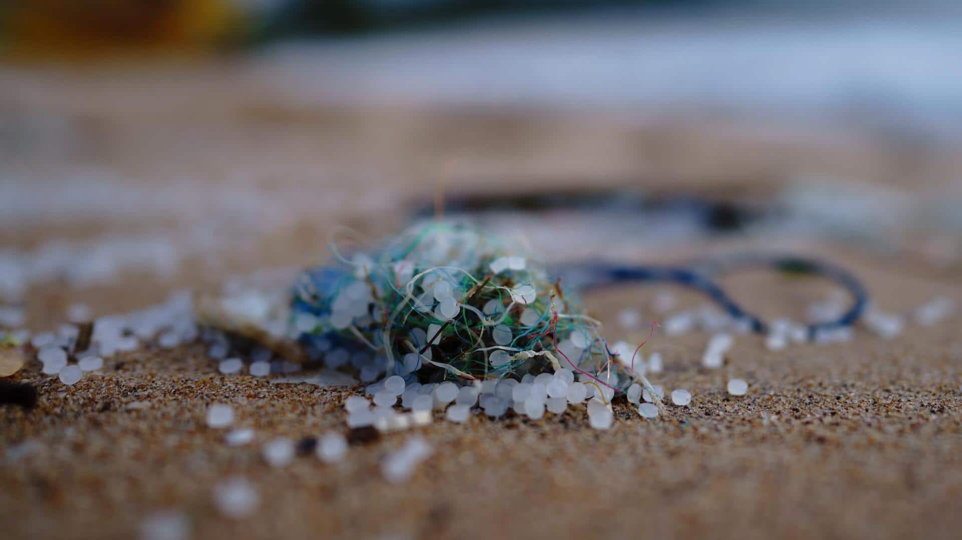Microplastics have potential to induce inflammation in human brain cells