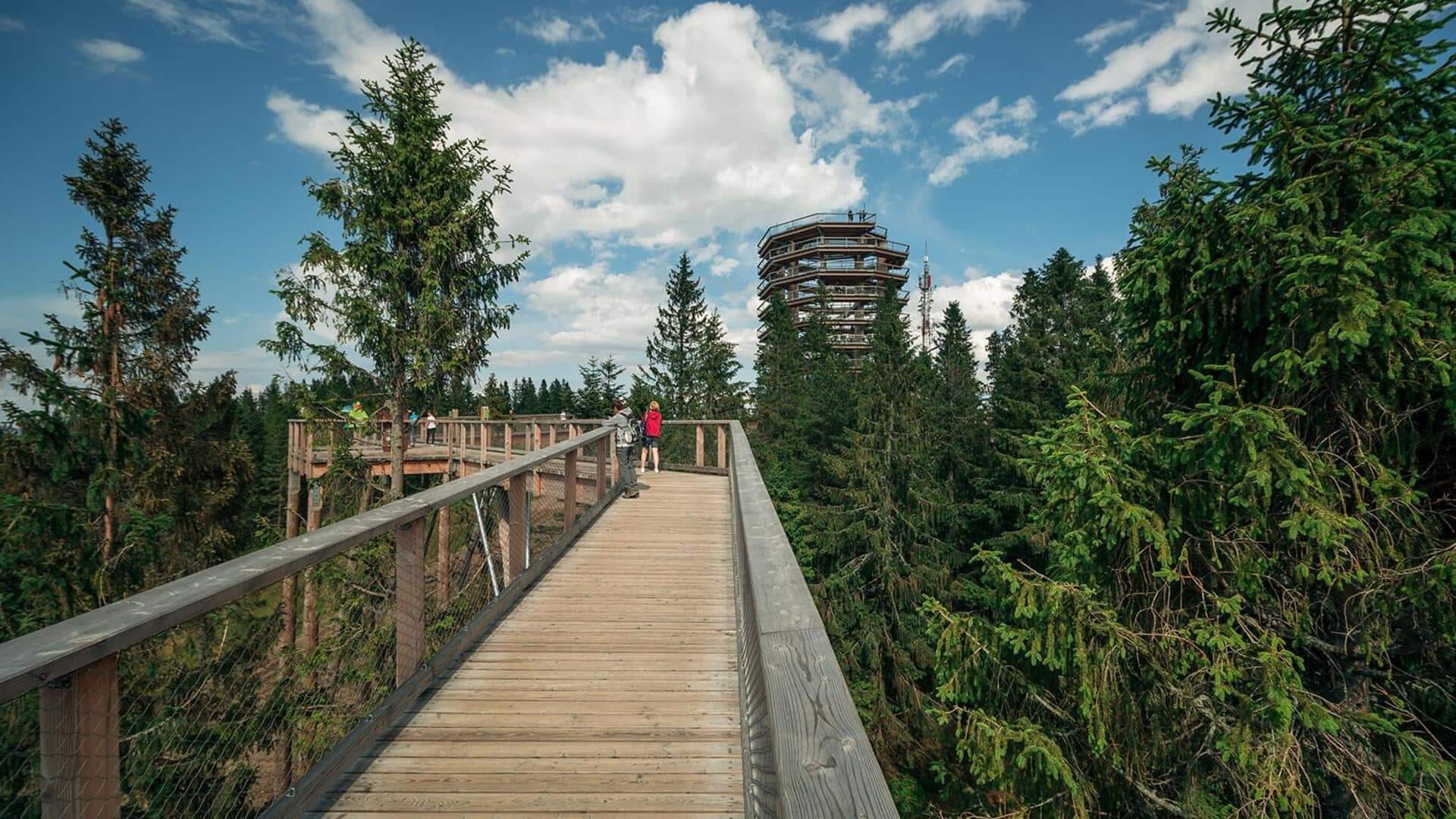 Planning a Slovakia trip? These forest canopy walks are unmissable
