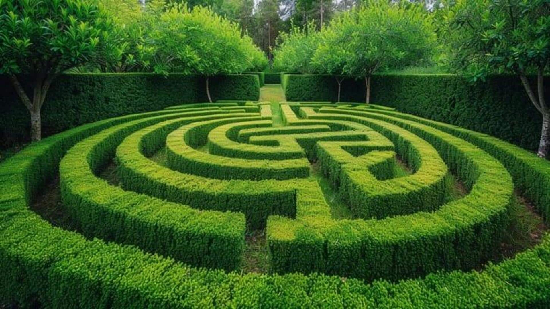 Thriving thickets: Discovering hidden hedge mazes