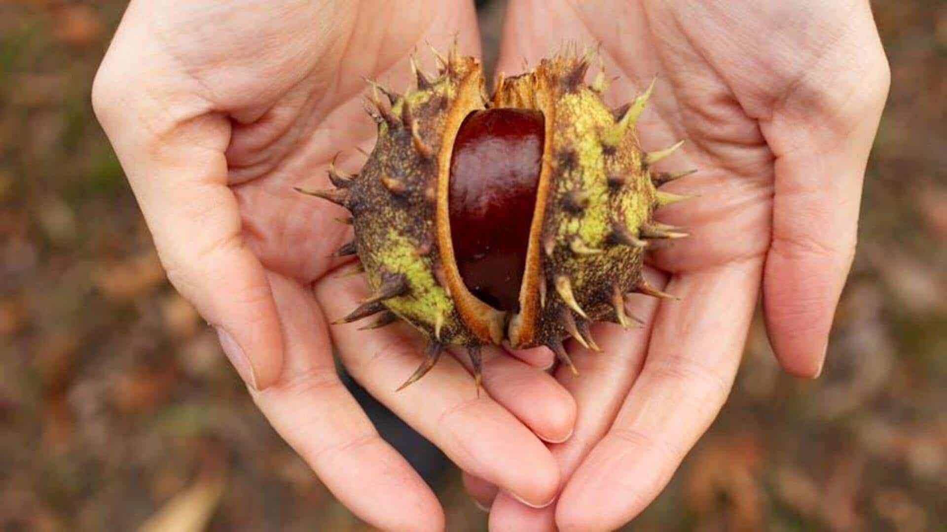 Why you must add chestnuts to your daily diet