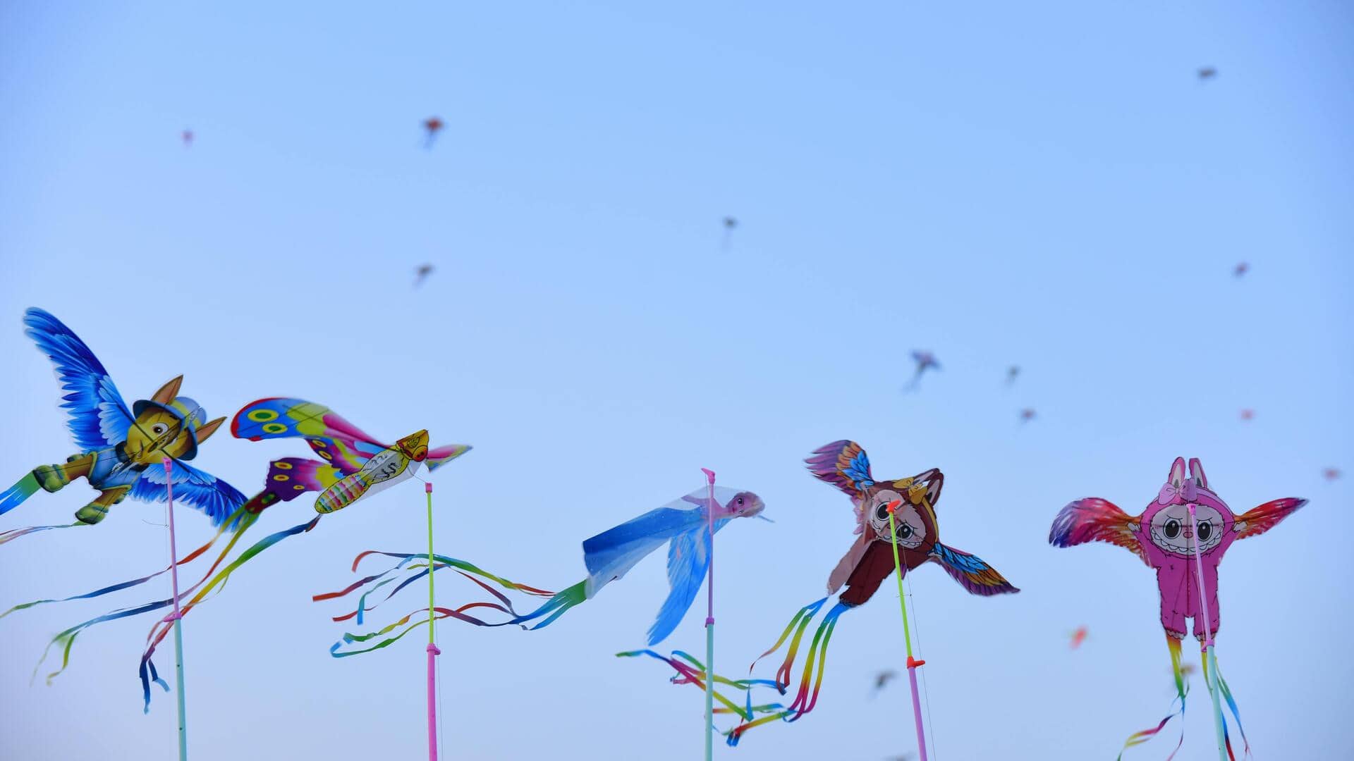 How flying a kite can boost your mood