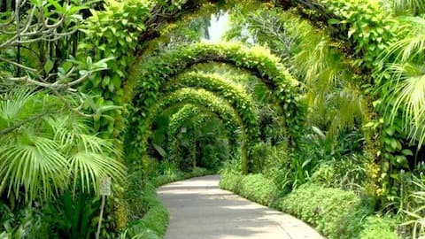 Western Australia's stunning botanical gardens: A list